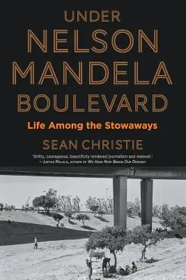 Pod bulvárom Nelsona Mandelu: Život medzi čiernymi pasažiermi - Under Nelson Mandela Boulevard: Life Among the Stowaways