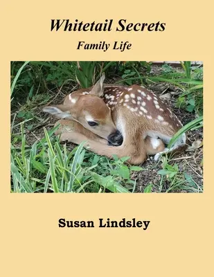 Tajomstvá bielochvostov: Rodinný život - Whitetail Secrets: Family Life