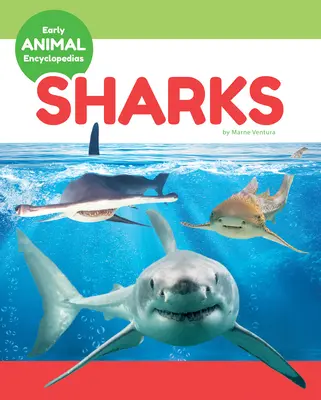 Žraloky - Sharks