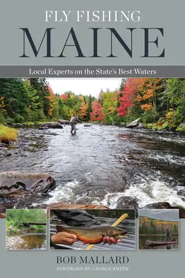 Muškárenie v Maine: Miestni experti na najlepšie vody štátu - Fly Fishing Maine: Local Experts on the State's Best Waters