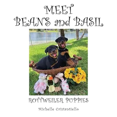 Zoznámte sa s fazuľou a bazalkou - Meet Beans and Basil