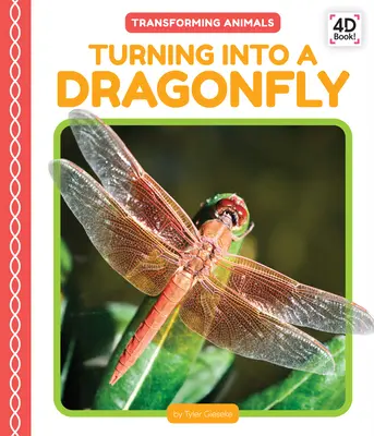 Premena na vážku - Turning Into a Dragonfly