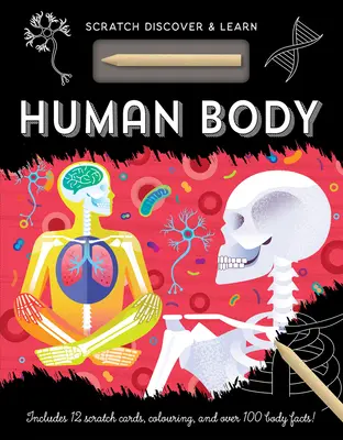 Ľudské telo - Human Body