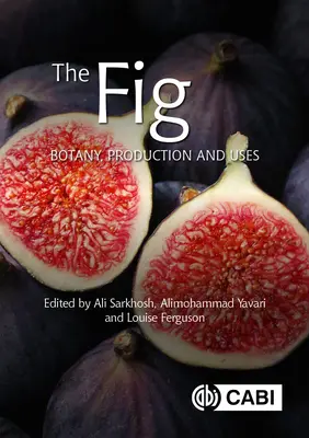 Figy: botanika, výroba a použitie - The Fig: Botany, Production and Uses