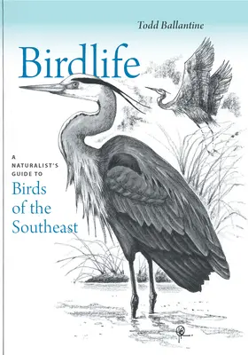 Život vtákov: Prírodovedný sprievodca vtákmi juhovýchodnej Európy - Birdlife: A Naturalist's Guide to Birds of the Southeast