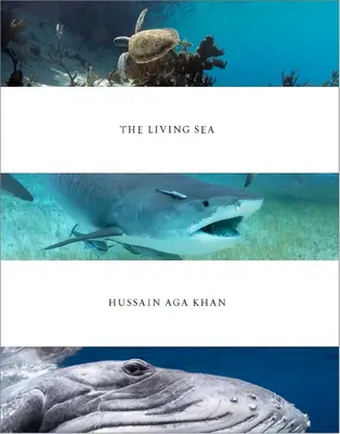 Hussain Aga Khan: Živé more - Hussain Aga Khan: The Living Sea