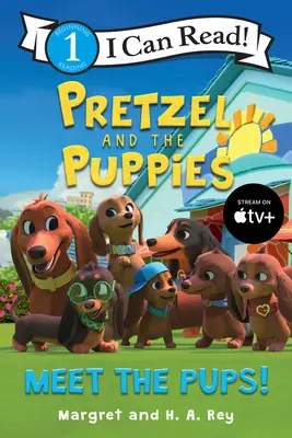 Pretzel a šteniatka: Zoznámte sa so šteniatkami! - Pretzel and the Puppies: Meet the Pups!