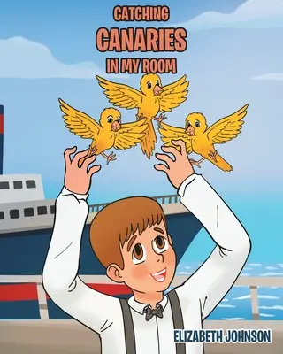 Chytanie kanárikov v mojej izbe - Catching Canaries in my Room