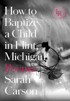 Ako pokrstiť dieťa vo Flinte v štáte Michigan: Básne - How to Baptize a Child in Flint, Michigan: Poems