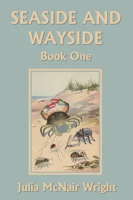 Prímorie a prícestie, kniha prvá (Yesterday's Classics) - Seaside and Wayside, Book One (Yesterday's Classics)