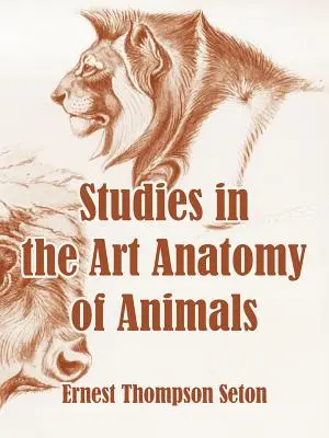 Štúdie z anatómie umenia zvierat - Studies in the Art Anatomy of Animals