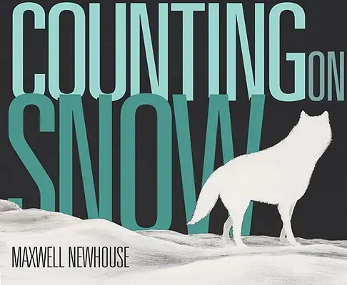 Počítanie so snehom - Counting on Snow
