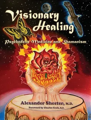VIZIONÁRNE LIEČENIE Psychedelická medicína a šamanizmus - VISIONARY HEALING Psychedelic Medicine and Shamanism