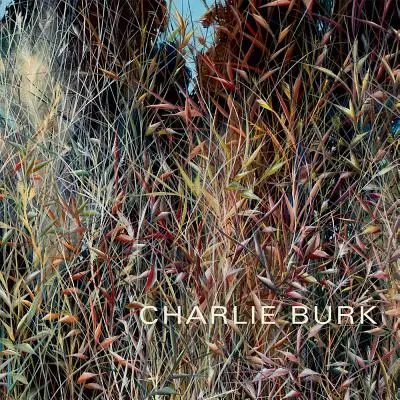 Charlie Burk: Cesta v abstrakcii - Charlie Burk: Journey in Abstraction