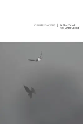 V kráse sme zviditeľnení - In Beauty We Are Made Visible