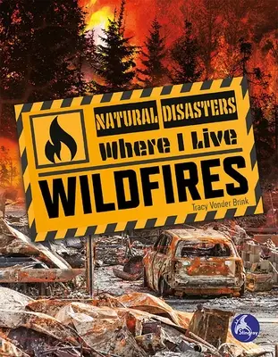 Lesné požiare - Wildfires