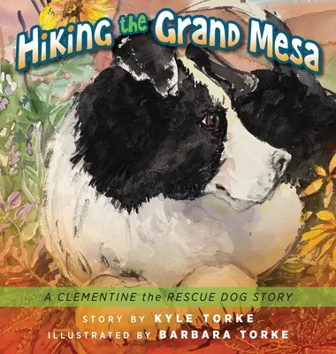 Turistika po Grand Mesa: Príbeh záchranárskeho psa Clementine - Hiking the Grand Mesa: A Clementine the Rescue Dog Story