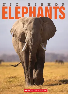 Nic Bishop Slony - Nic Bishop Elephants