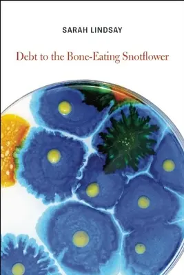 Dlh na kosti požierajúci smrkáč (Debt to the Bone-Eating Snotflower) - Debt to the Bone-Eating Snotflower