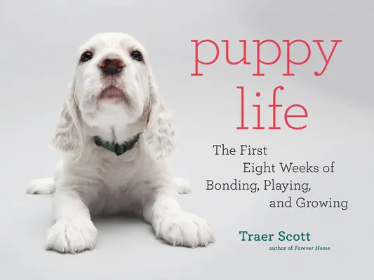 Život šteniat: Prvých osem týždňov zbližovania, hier a rastu - Puppy Life: The First Eight Weeks of Bonding, Playing, and Growing
