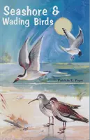 Morské a brodivé vtáky Floridy - Seashore and Wading Birds of Florida