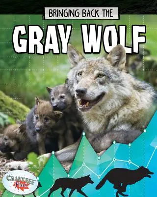 Návrat šedého vlka - Bringing Back the Gray Wolf