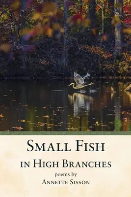 Malé ryby vo vysokých vetvách - Small Fish in High Branches