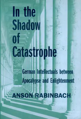 V tieni katastrofy: Nemeckí intelektuáli medzi apokalypsou a osvietenstvom 14. zväzok - In the Shadow of Catastrophe: German Intellectuals Between Apocalypse and Enlightenmentvolume 14