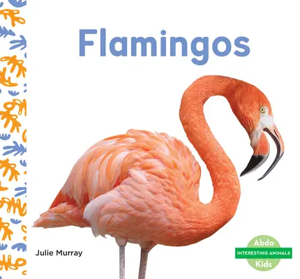 Plameniaky - Flamingos