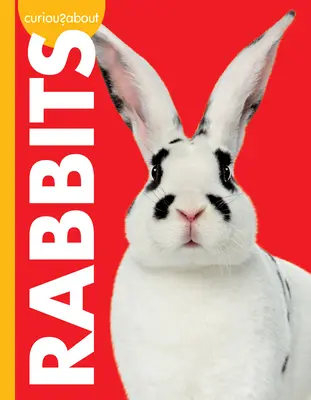 Zvedavosť na králiky - Curious about Rabbits
