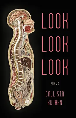 Pozrite sa pozrite sa - Look Look Look