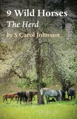 9 Divoké kone: Stádo - 9 Wild Horses: The Herd