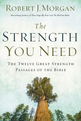 Sila, ktorú potrebuješ: Dvanásť veľkých pasáží o sile v Biblii - The Strength You Need: The Twelve Great Strength Passages of the Bible