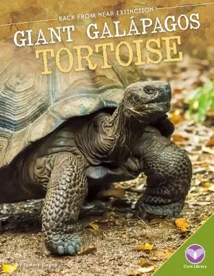 Obrovská galpágska korytnačka - Giant Galpagos Tortoise