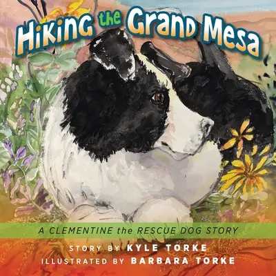Turistika v Grand Mesa: Príbeh záchranárskeho psa Clementine - Hiking the Grand Mesa: A Clementine the Rescue Dog Story