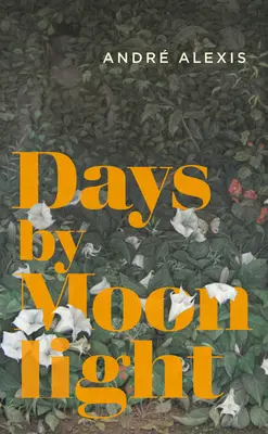 Dni pri mesačnom svite - Days by Moonlight