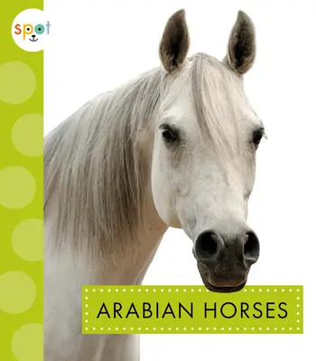 Arabské kone - Arabian Horses