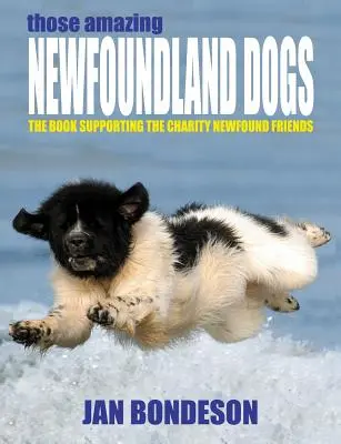 Tie úžasné novofundlandské psy - Those Amazing Newfoundland Dogs