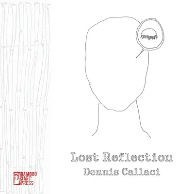 Stratený odraz - Lost Reflection