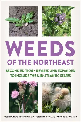 Buriny severovýchodu - Weeds of the Northeast