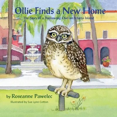 Ollie si našiel nový domov: Príbeh sovy dlhochvostej na ostrove Marco - Ollie Finds a New Home, The Story of a Burrowing Owl on Marco Island