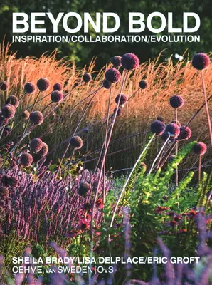 Za hranice odvahy: Inšpirácia, spolupráca, vývoj - Beyond Bold: Inspiration, Collaboration, Evolution