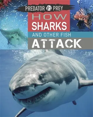 Predátor proti koristi: Ako útočia žraloky a iné ryby! - Predator Vs Prey: How Sharks and Other Fish Attack!