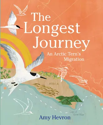 Najdlhšia cesta: Migrácia rybárika polárneho - The Longest Journey: An Arctic Tern's Migration