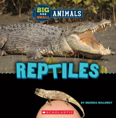Plazy (Divoký svet: Veľké a malé zvieratá) - Reptiles (Wild World: Big and Small Animals)