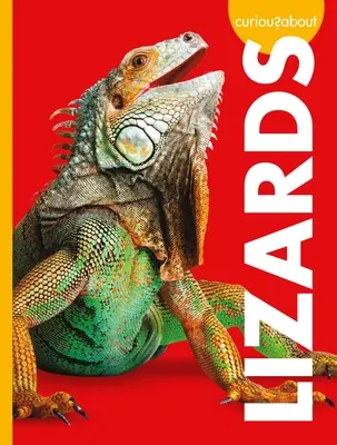 Zvedaví na jaštery - Curious about Lizards