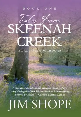 Príbehy zo Skeenah Creek: A Civil War Historical Fiction Novel - Tales From Skeenah Creek: A Civil War Historical Fiction Novel