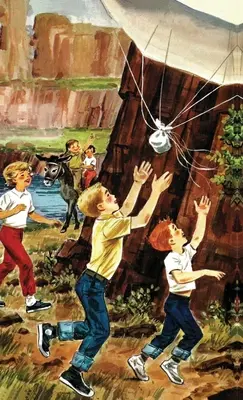 Šťastní Hollisterovci a záhada hradnej skaly: Špeciálne vydanie HARDCOVER - The Happy Hollisters and the Castle Rock Mystery: HARDCOVER Special Edition