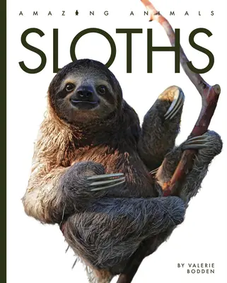Leňochody - Sloths
