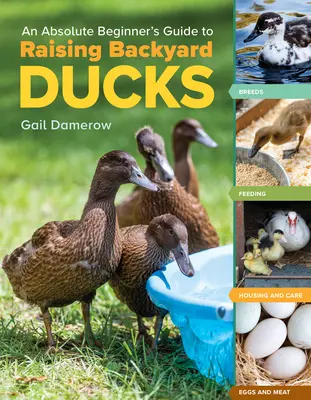 Príručka pre úplných začiatočníkov o chove kačíc na dvore: Plemena, kŕmenie, ustajnenie a starostlivosť, vajcia a mäso - An Absolute Beginner's Guide to Raising Backyard Ducks: Breeds, Feeding, Housing and Care, Eggs and Meat